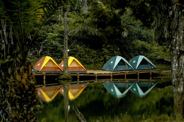 Quels sont les meilleurs conseils pour un camping en région marécageuse?