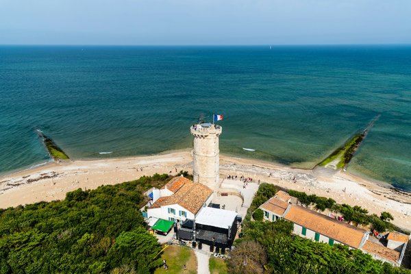 Quelles sont les meilleures périodes pour observer les baleines à Hawaï?